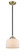 Nouveau LED Mini Pendant in Black Antique Brass (405|284-1S-BAB-G71-LED)