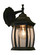 Waterdown One Light Outdoor Wall Light in Black (224|T20-BK)