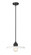 Paloma One Light Pendant in Matte Black (224|820P14-MB)