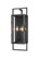 Lucian Two Light Outdoor Wall Sconce in Black (224|598M-BK)