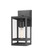 Nuri One Light Outdoor Wall Light in Black (224|596S-BK)