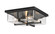 Sana Four Light Outdoor Flush Mount in Black (224|592F-BK)