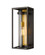 Dunbroch One Light Outdoor Wall Light in Deep Bronze + Outdoor Brass (224|584M-DBZ-OBS)