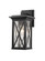 Brookside One Light Outdoor Wall Light in Black (224|583S-BK)