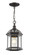 Annex One Light Outdoor Chain Mount Ceiling Fixture in Rust (224|563CHM-RT)