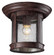 Outdoor Flush Mount One Light Outdoor Flush Mount in Weathered Bronze (224|515F-WB)