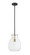 Bella One Light Pendant in Matte Black / Olde Brass (224|476P-ROD-MB-OBR)