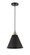 Edison One Light Mini Pendant in Black Antique Brass (405|616-1P-BAB-MBC-12-BK)