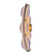 Meridian LED Wall Sconce in Winter Brass (33|518421WB)