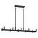 Erzo Ten Light Linear Chandelier in Black (12|52614BK)