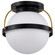 Lakeshore One Light Flush Mount in Matte Black (72|60-7770)