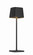 Task Portables LED Table Lamp in Coal Black (42|P1665-66A-L)