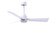 Alessandra 42'' Ceiling Fan in Matte White (101|AK-MWH-MWH-42)