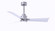 Alessandra - LK 42'' Ceiling Fan in Brushed Nickel (101|AKLK-BN-MWH-42)