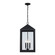 Tempest Three Light Outdoor Hanging Lantern in Black (110|51538 BK) Tempest Three Light Outdoor Hanging Lantern in Black (110|51538 BK)