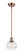 Ballston One Light Mini Pendant in Antique Copper (405|516-1S-AC-G556-6CL)