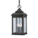 Henry Street Three Light Hanging Lantern in Textured Bronze (67|F2017-TBZ)