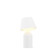Guy LED Lantern in Matte White (240|GUY-MWT)