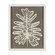 Paradise Leaf Wall Art in Off White (45|S0036-12127)