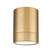 Algar LED Flush Mount in Modern Gold (224|1006F6-MGLD-LED)