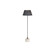 Xena Floor Lamp in Burnt Iron, Iron (314|PFI05)