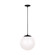 Leo - Hanging Globe One Light Pendant in Midnight Black (454|6022-112)