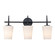 Three Light Vanity in Black (110|71893 BK)