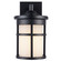 One Light Outdoor Wall Mount in Black (110|40380 BK-FR)