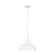 Barn Light One Light Outdoor Pendant in White (454|6237401-15)