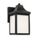 Saybrook One Light Lantern in Textured Black (1|GLO1001EN3/TXB)