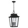 Chandler Four Light Outdoor Hanging Lantern in Black (65|953344BK)