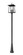 Rainer Five Light Outdoor Post Mounted Fixture in Black (224|5015PHXLR-519P-BK)