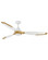 Aileron 60''Ceiling Fan in Matte White (13|906760FMW-LDD)