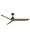 Liv 60''Ceiling Fan in Matte Black (13|906660FBD-NWD)