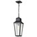 Lawrence One Light Hanging Lantern in Matte Black (72|60-8135)