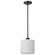 Warren One Light Pendant in Gun Metal (72|60-8036)