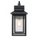 Bosque One Light Outdoor Wall Lantern in Black (110|51690 BK)
