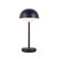 Hinata LED Table Lamp in Navy Blue (347|TL63812-NV)