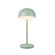 Hinata LED Table Lamp in Sage Green (347|TL63812-GN)