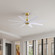 Ariella 64'' Ceiling Fan in Brushed Brass (101|AN-BRBR-MWH-64)