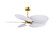Alessandra Tropical - LK 48'' Ceiling Fan in Brushed Brass (101|AKTPLK-BRBR-MWH)