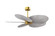 Alessandra TROPICAL 48'' Ceiling Fan in Brushed Brass (101|AKTP-BRBR-BW)