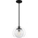 Quoizel Piccolo Pendant One Light Mini Pendant in Matte Black (10|QPP6774MBK)