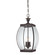 Oasis Three Light Outdoor Hanging Lantern in Medici Bronze (10|OAS1909Z)