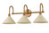 Jovani Three Light Bath in Patina Brass (67|B1811-PBR/SSD)