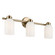 Shae Three Light Bath in Champagne Bronze (12|55202CPZ)