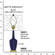 Small Emma One Light Accent Lamp in Matte Midnight Blue Glazed Ceramic w/Warm Brass (165|MMB36)