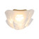 Glacier LED Flush Mount in Polished Nickel (62|9608-FM PN)