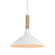 Journey One Light Pendant in Natural White (62|3318-M NWT)