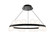 Carousel LED Chandelier in Black (34|PD-21528-30-BK)